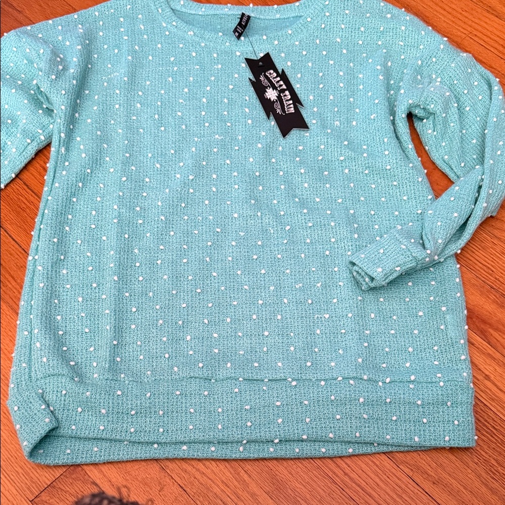 BNWT Women's Dally Darlin Teal Sweater by Crazy Train Medium - Picture 2 of 6